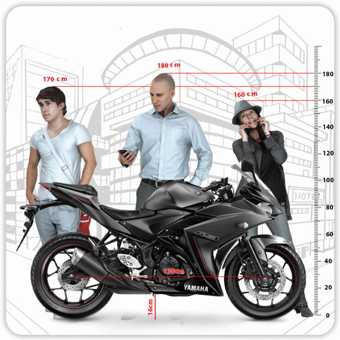 موتور سیکلت یاماها R 25 - تصویر 9