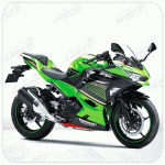 Kawasaki Ninja 249
