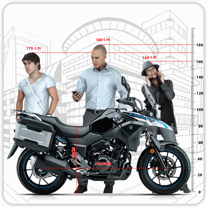 موتور V-Strom 250 - تصویر 10