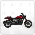 هارلی همراه سیکلت 250 - تصویر 9