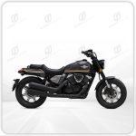 هارلی همراه سیکلت 250 - تصویر 10